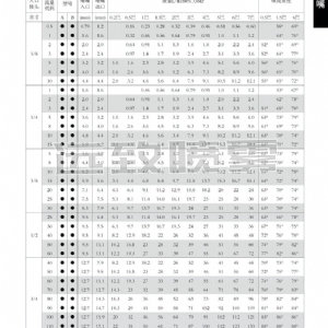 中小流量空心錐形噴嘴--B/W系列